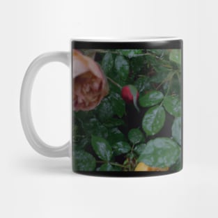 rain garden Mug